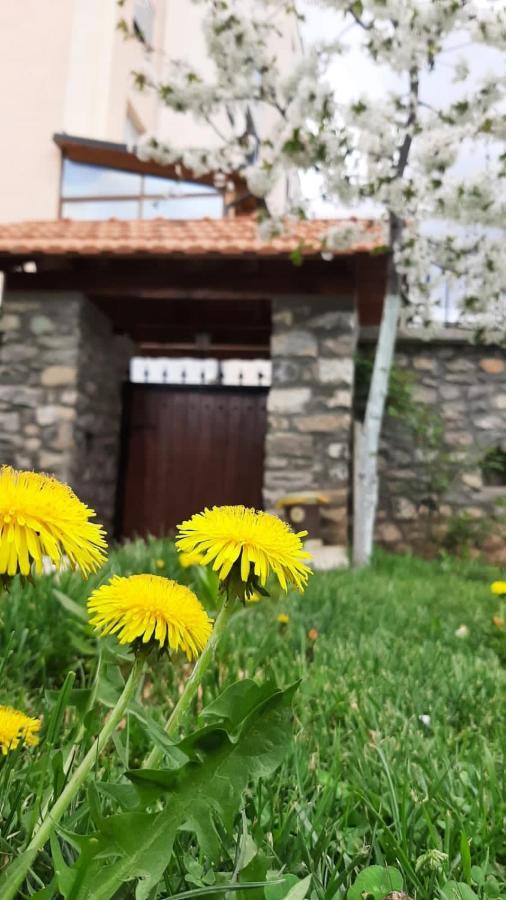 Guesthouse Tershana Peshkopi Eksteriør billede